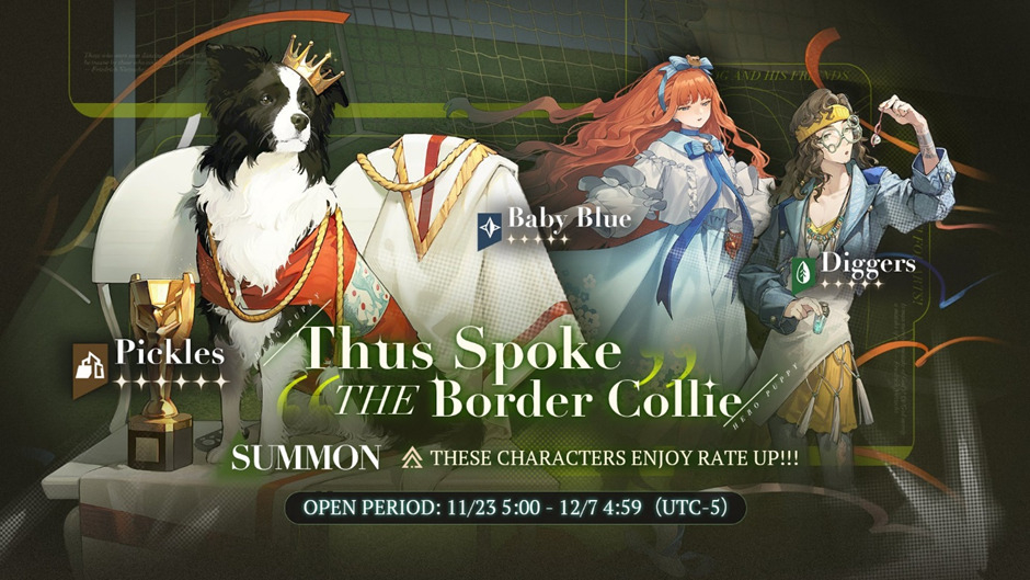 Thus Spoke the Border Collie Banner Guide – Should You Pull?